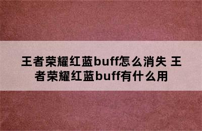 王者荣耀红蓝buff怎么消失 王者荣耀红蓝buff有什么用